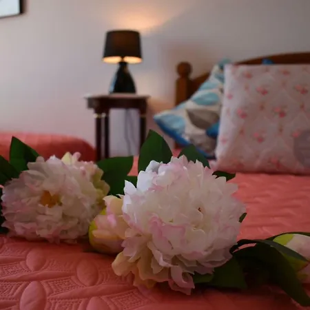 Lovely 3br In